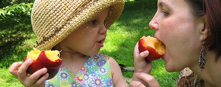 Maus hábitos alimentares começam no primeiro ano de vida, diz estudo