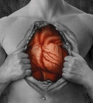Estudo Revela que Obesidade Altera Estrutura do Coração